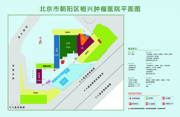 男人把鸡捅进了女人的尿口里图片北京市朝阳区桓兴肿瘤医院平面图